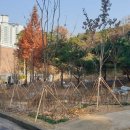 숙지공원 이미지