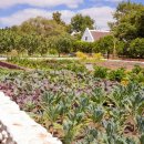 광명농장 이미지