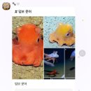 식사 일기에 가까운 포덤 _이제 막내 자랑을 곁들인