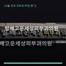 방배고운세상피부과의원 | 방배고운세상피부과의원 진료 과목 및 이용 안내