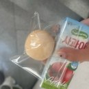 남동76 | 🧼 인천 남동 바나다공방 천연분말 CP비누 원데이클래스 체험 후기