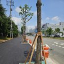 논산대로 이미지