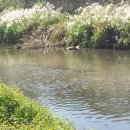 굴포공원 이미지