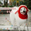 에이미펫 - 중구 백운로 39 | 에이미러브즈펫 이벤트 총정리 / 후기이벤트 / 온라인오프라인이벤트