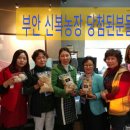 이영미농장 이미지