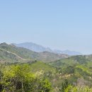 통일식당 | 고성가볼만한곳 통일전망대 출입신고소 방법, 실시간 개화 현황