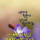 금송약국 이미지