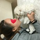 일초불닭발 이미지