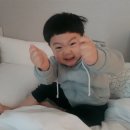 김부자농장 | +1061 파주 아이랑 가볼만한곳 : 모산목장 - 젖소 먹이주기, 젖짜기 체험 / 등촌샤브칼국수 파주탄현점