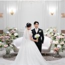 빌라드화이트 이미지