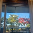 355 | 전주카페 진조리카페355 방문후기