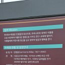 목련쉼터 | 천리포수목원 목련 10년만에 재방문 아쉽게도