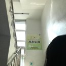 반석동로(유성-53) 이미지