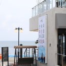 기장 맛집 스페셜 했던 바다의맛을담다 해담 / 기장 고향연화 방문 후기