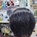 일신남성컷 이미지