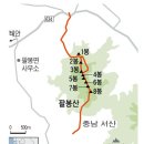 서산팔봉산 + 몽산포 쭈꾸미축제 이미지