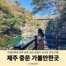 서귀포 천제연 관개수로 | 제주 중문 가볼만한곳 실내 관광지 천제연폭포 서귀포 혼자 여행
