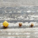 덴탈메트릭스 이미지