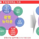 피-타운 네이버블로그