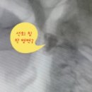 연하카폐 이미지