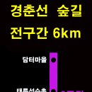 경춘선 자전거도로6 이미지