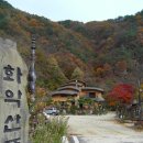 겨울연가펜션.레저