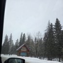 패스웨이(주) | Dollar(업체) | Flair항공 | 캔모어숙소(베이스캠프) | 밴프 다운타운 국립공원패스 | 캔모어 세이프웨이