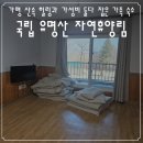 구절초로 | 가평 가성비 가족 여행 추천! 유명산 산림휴양관 구절초 객실 이용 후기 및 꿀팁