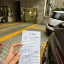도장 흑염소 이미지