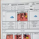씨혼다이브