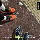 엔돌핀 | [써코니러닝화] 써코니 엔돌핀 프로4 카본이지만 올라운드 러닝화 후기