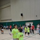 국가대표 용인대 비룡태권도장 이미지