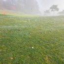 수곡로3번길(2-164) | 양잔디 골프장 클럽모우CC 라운드 후기(2025. 11. 12.)