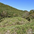 박진농장 이미지