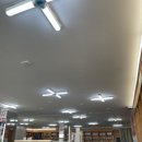 전등약국 이미지