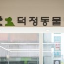 덕정 동물의료센터 이미지