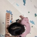 세종에듀