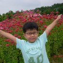 강동-길동-3591 이미지