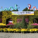 익산 중앙체육공원 천만송이 국화축제(1) 이미지