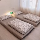 스테이동백 이미지