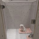 부산 애견호텔 강아지 유치원 미용 우리집첫째 명지본점 이미지