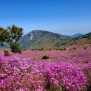 그린기프트부산
