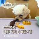 멍멍까까