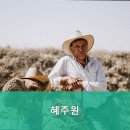 혜주원 요양원 네이버블로그