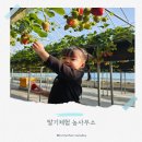 비슬로63길 이미지