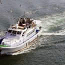 바다의숨결 이미지