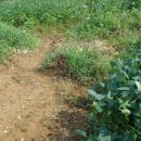 구월1동-4 이미지