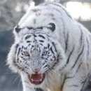 백호농장 이미지