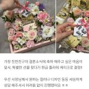 고운햇살플라