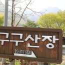 단양펜션구구산장 | 자연과 함께하는 단양단체펜션 단양구구산장